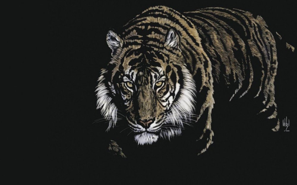 Тигр арт