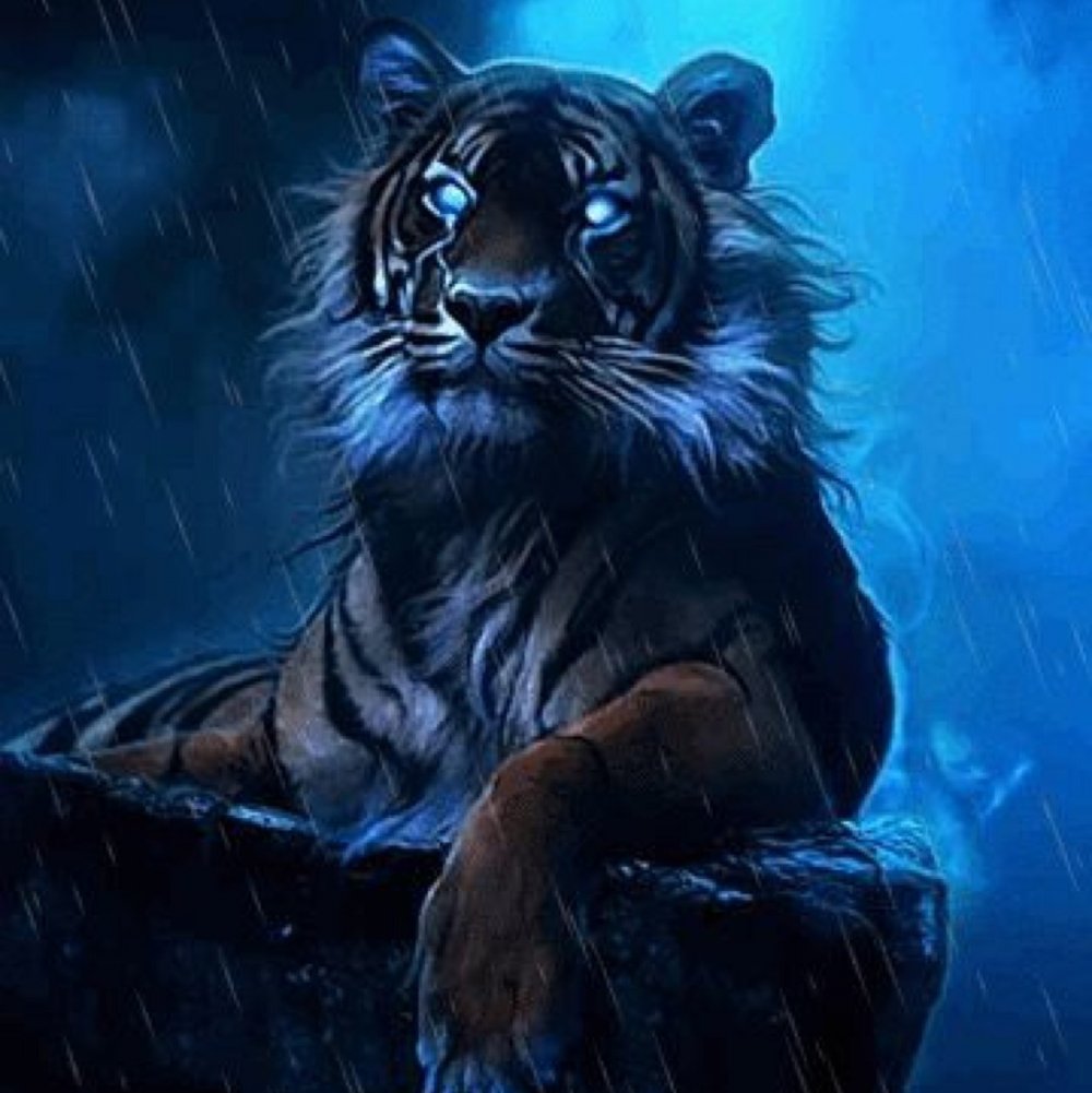 Тигр под дождем