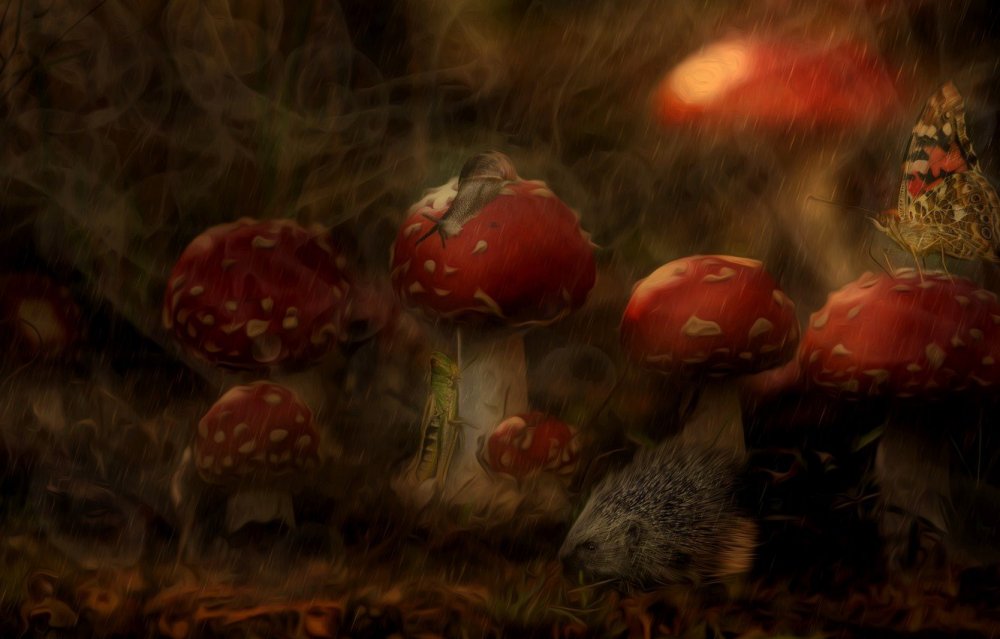 Goblincore Эстетика грибы