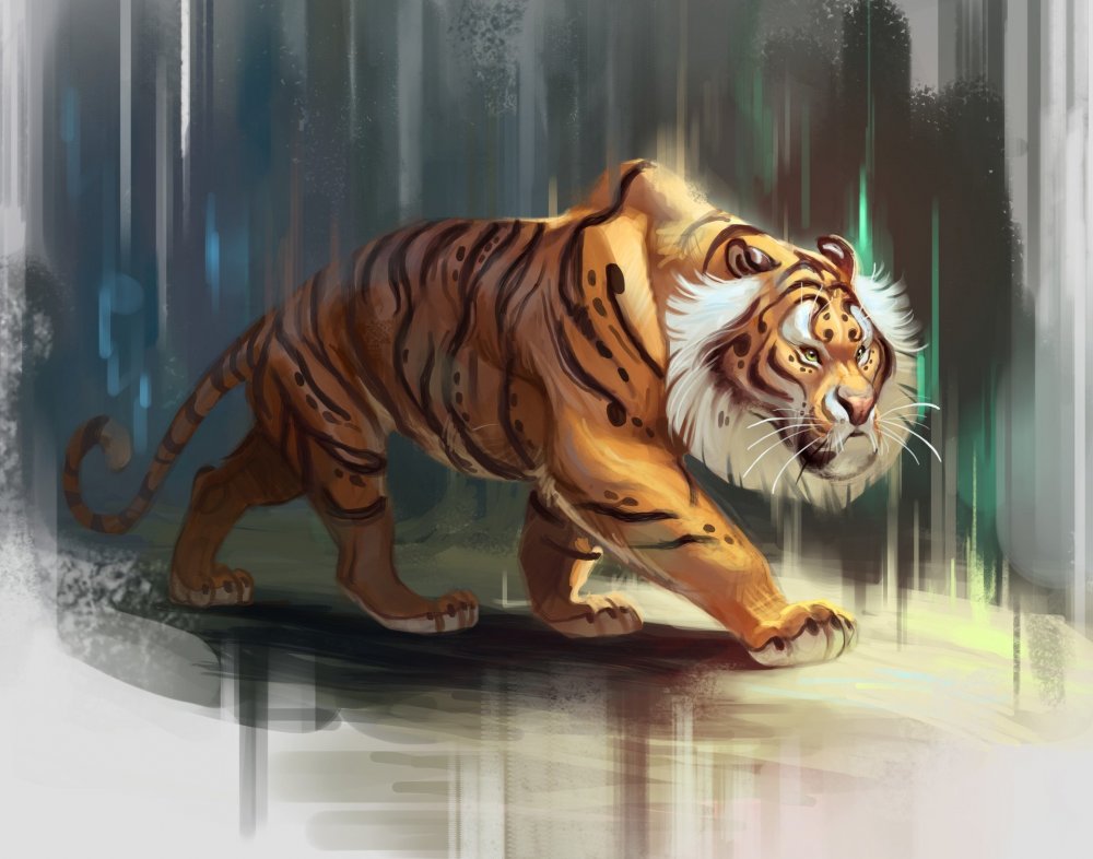 Щома тигр