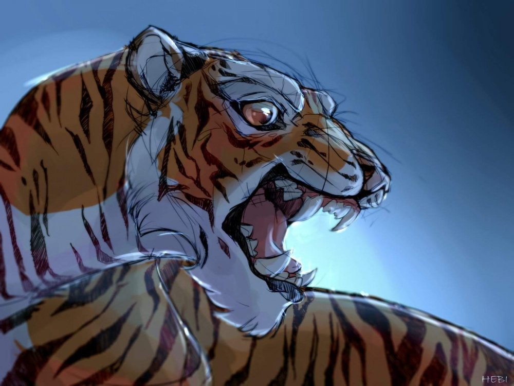 WILDCRAFT тигр арт