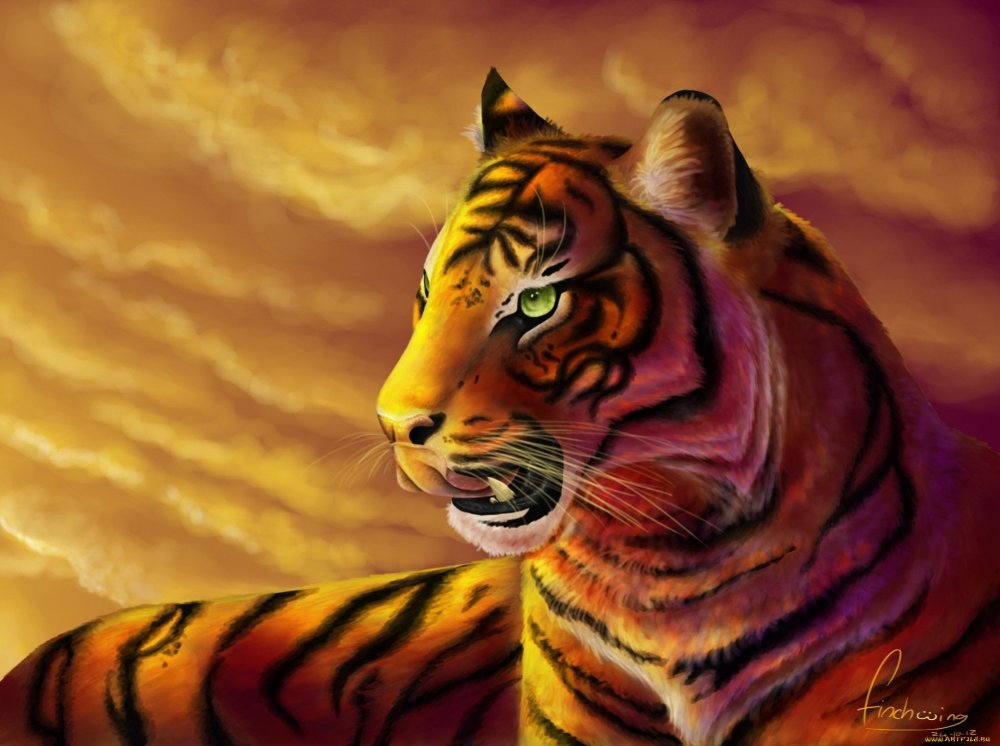Тигр арты