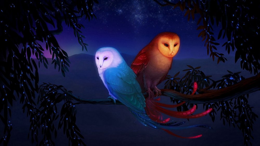 Ночные животные и птицы