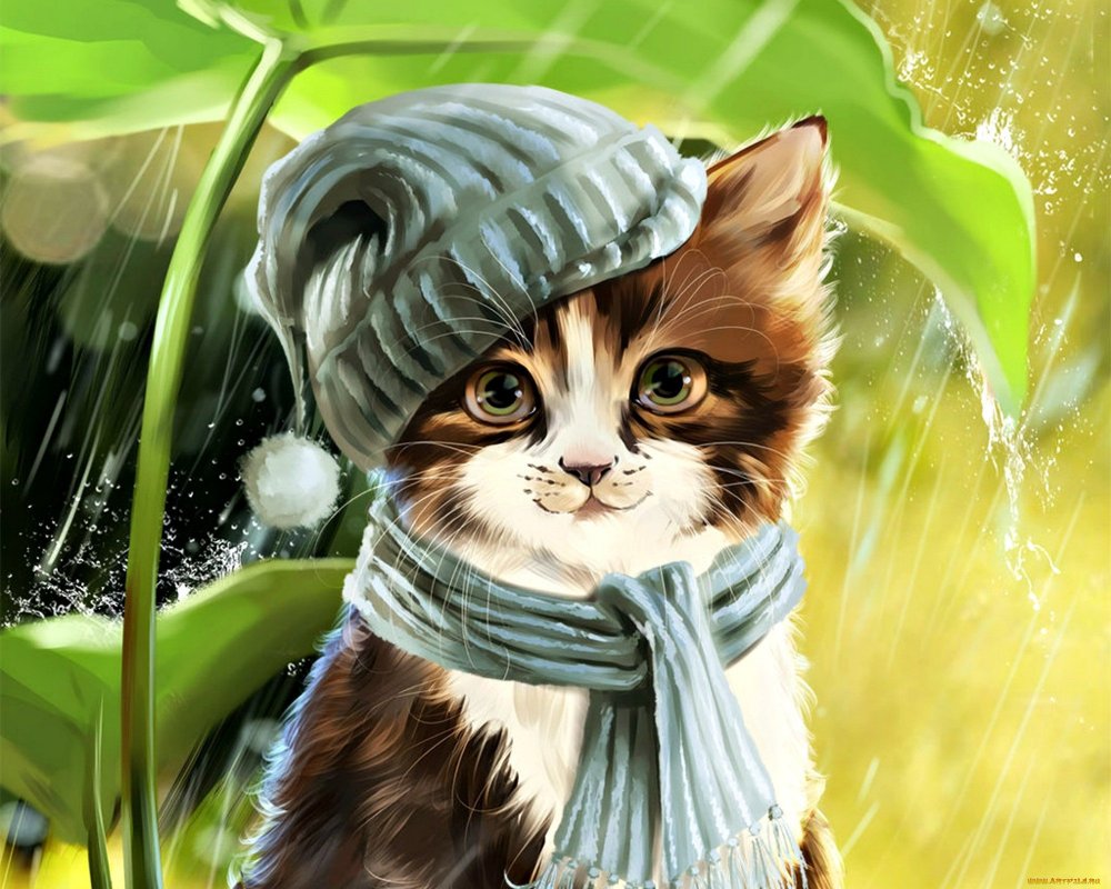 Котенок в шарфике