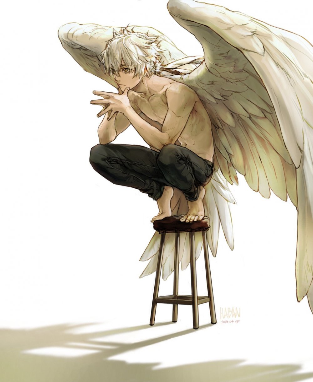Многокрылый ангел аниме