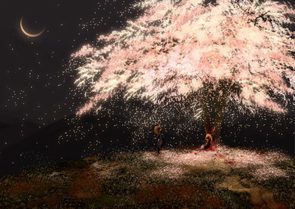 Сакура дерево ночью
