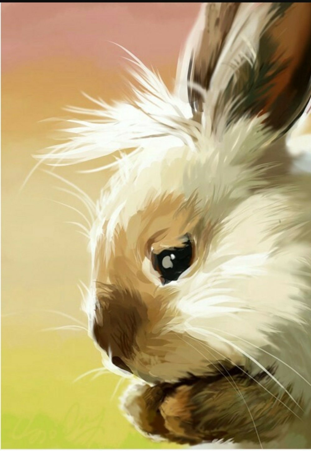 Картина по номерам кролик