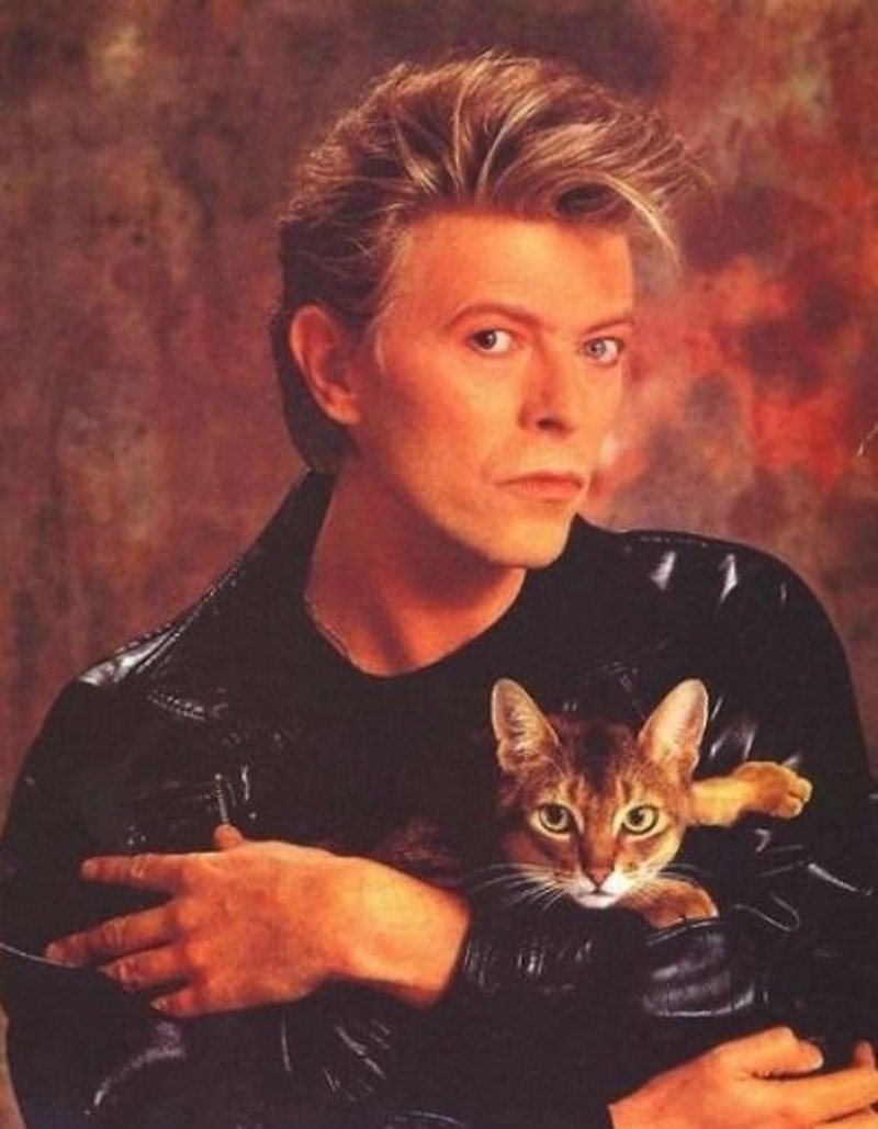 David Bowie with Cat