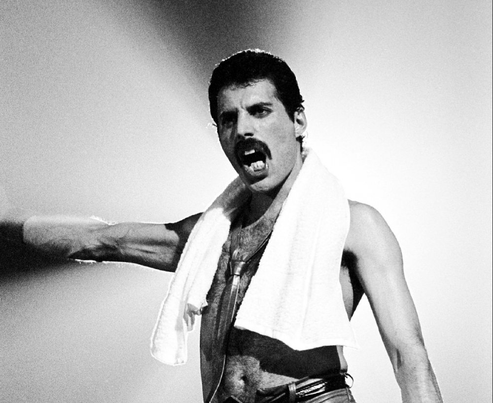 Freddie Mercury 2008