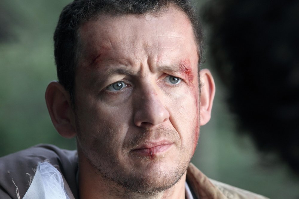 Dany Boon Flowers