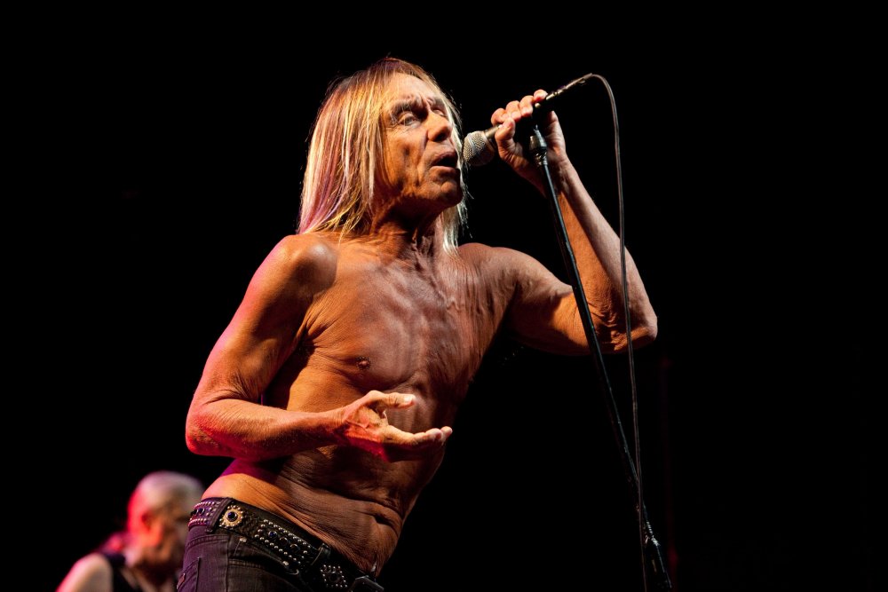 The stooges солист