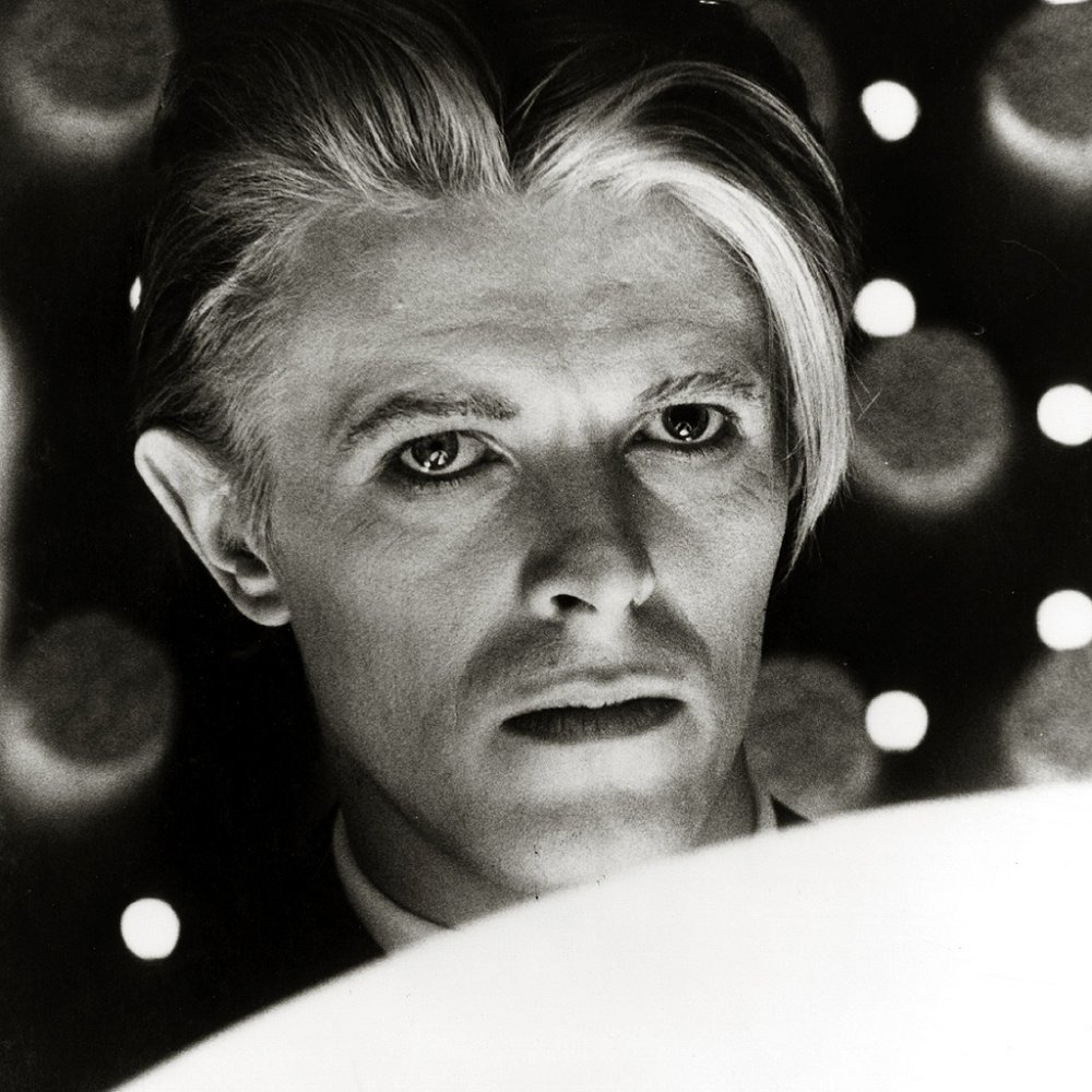 David Bowie чб