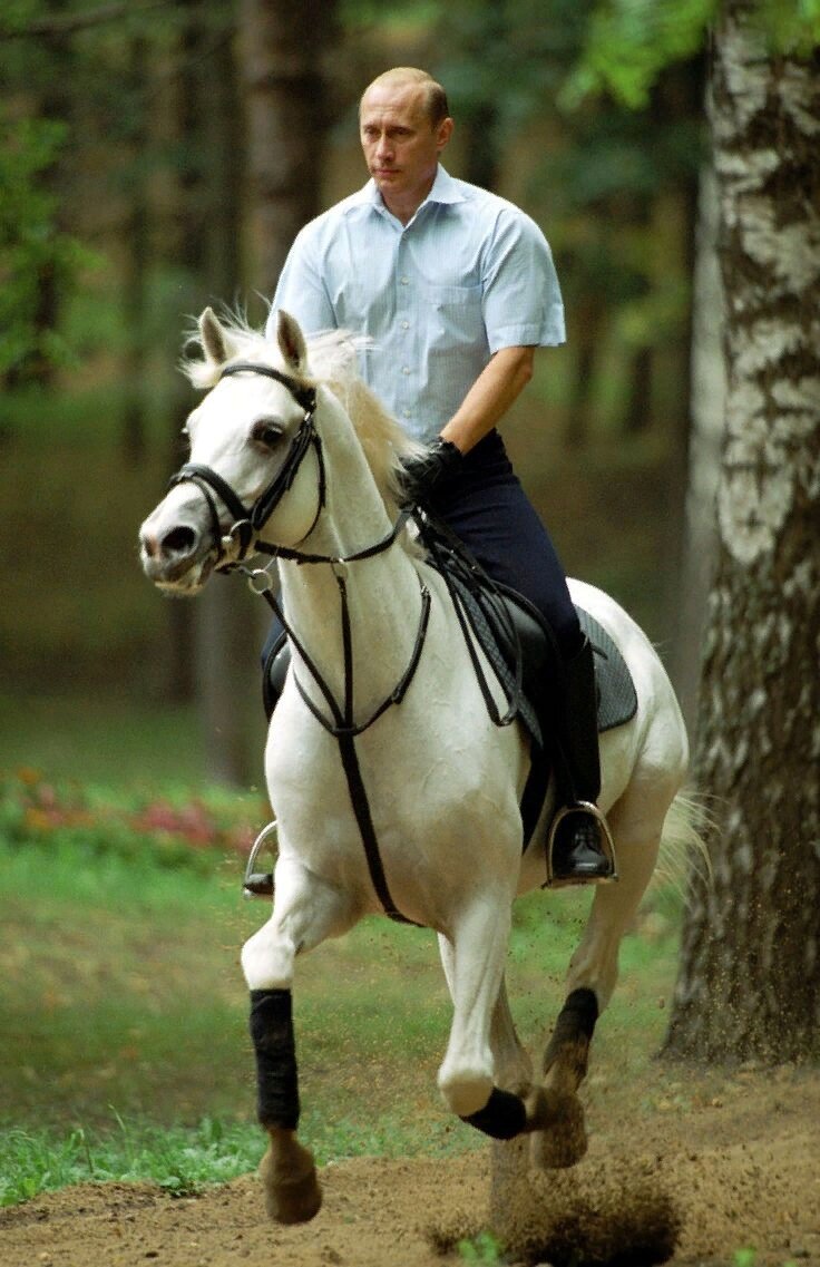 Владимир Путин на коне