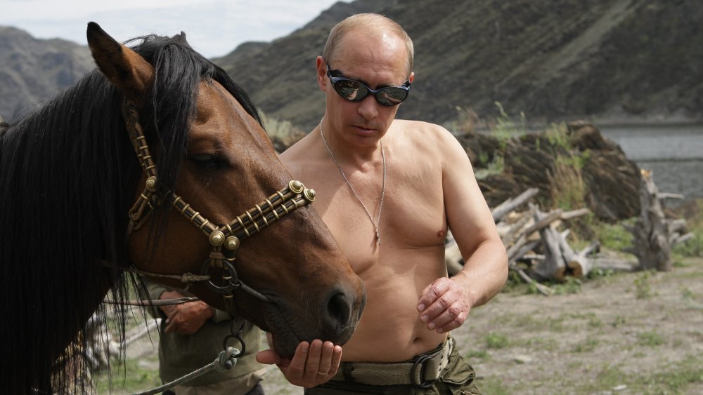 Путин Владимир Владимирович на коне
