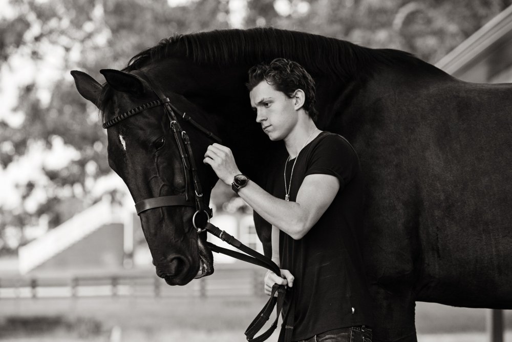 Том Хиддлстон с конем