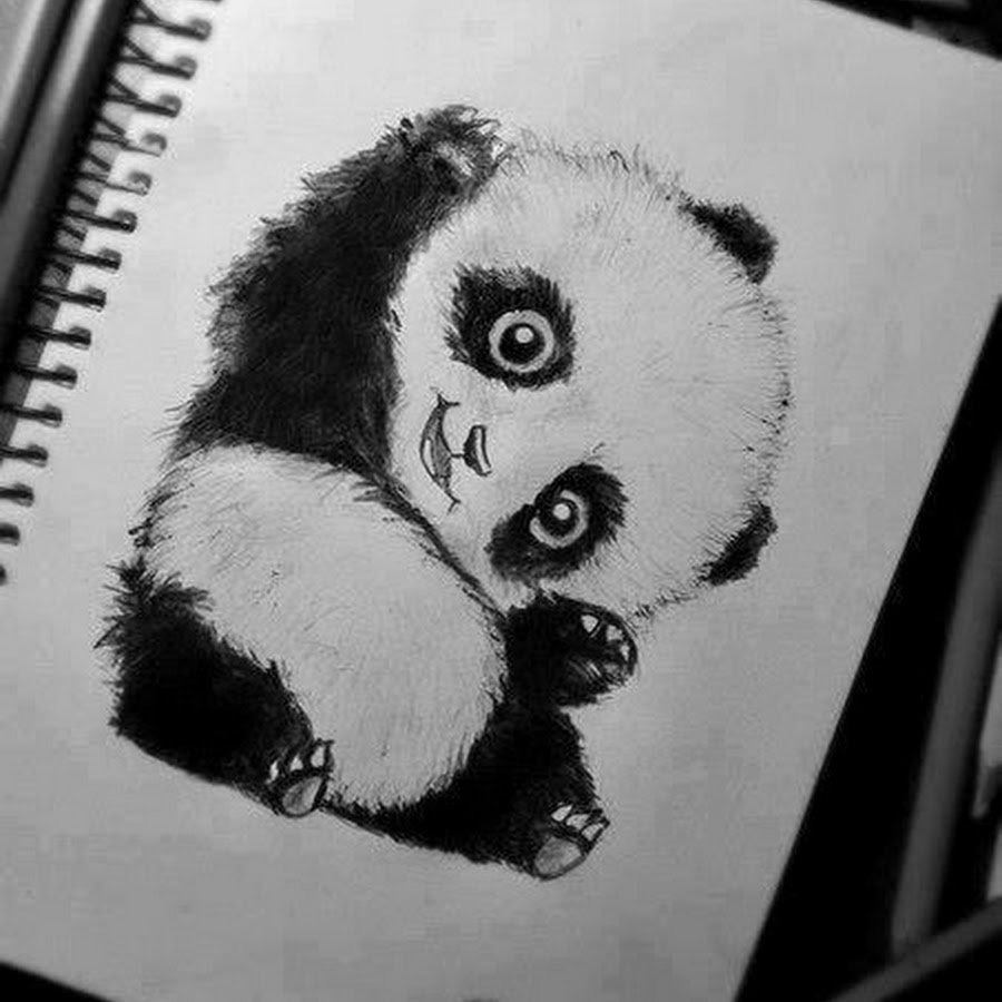 Панда цветными карандашами