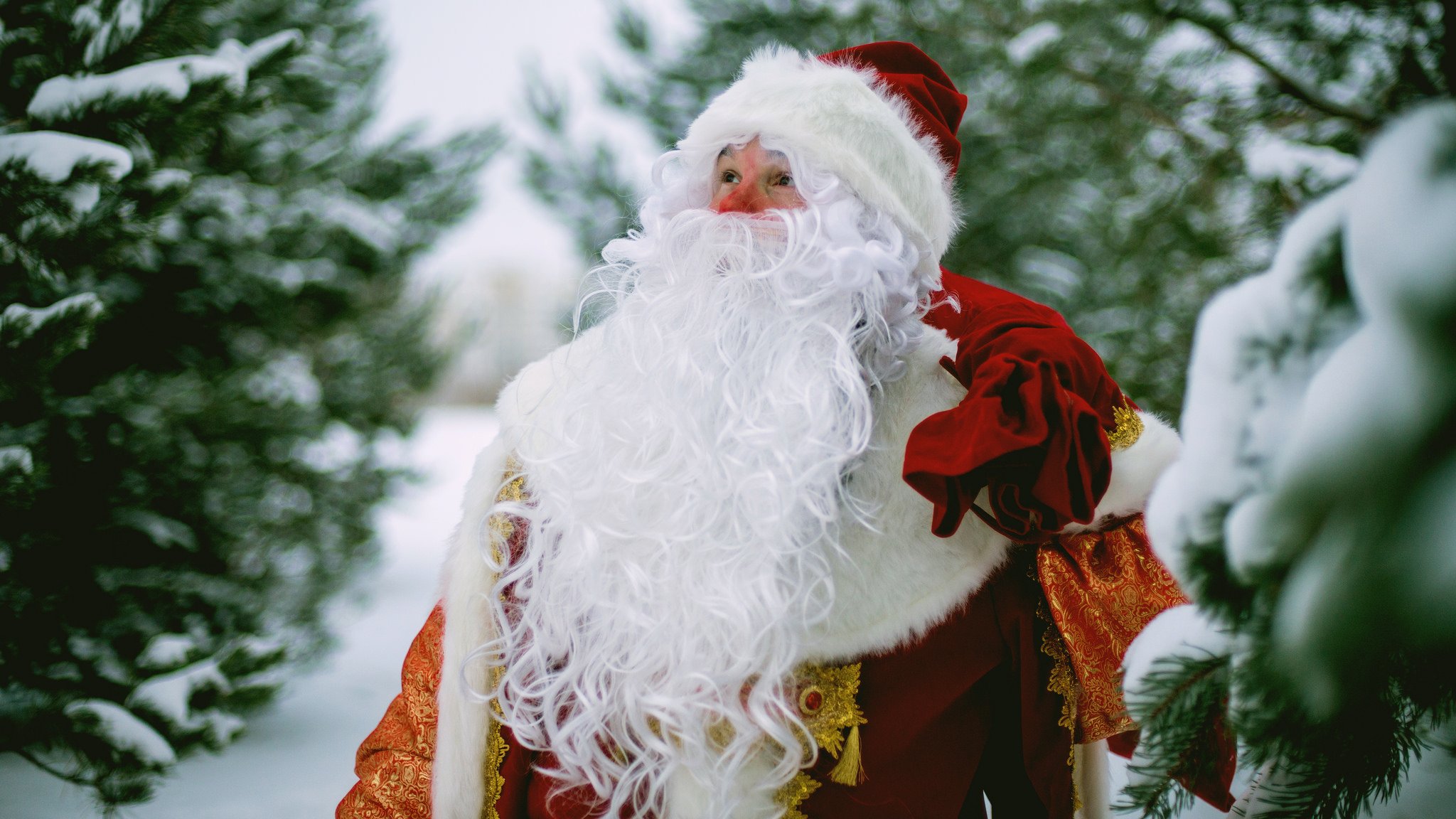 Настоящий новый год в россии. Дед Мороз. Русский дед Мороз. Дед Мороз в лесу. Красивый дед Мороз.