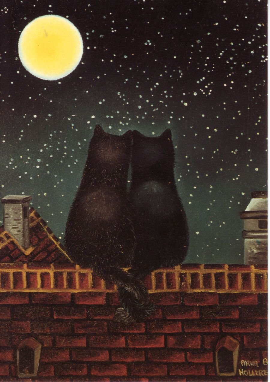 Картина коты на крыше ночью