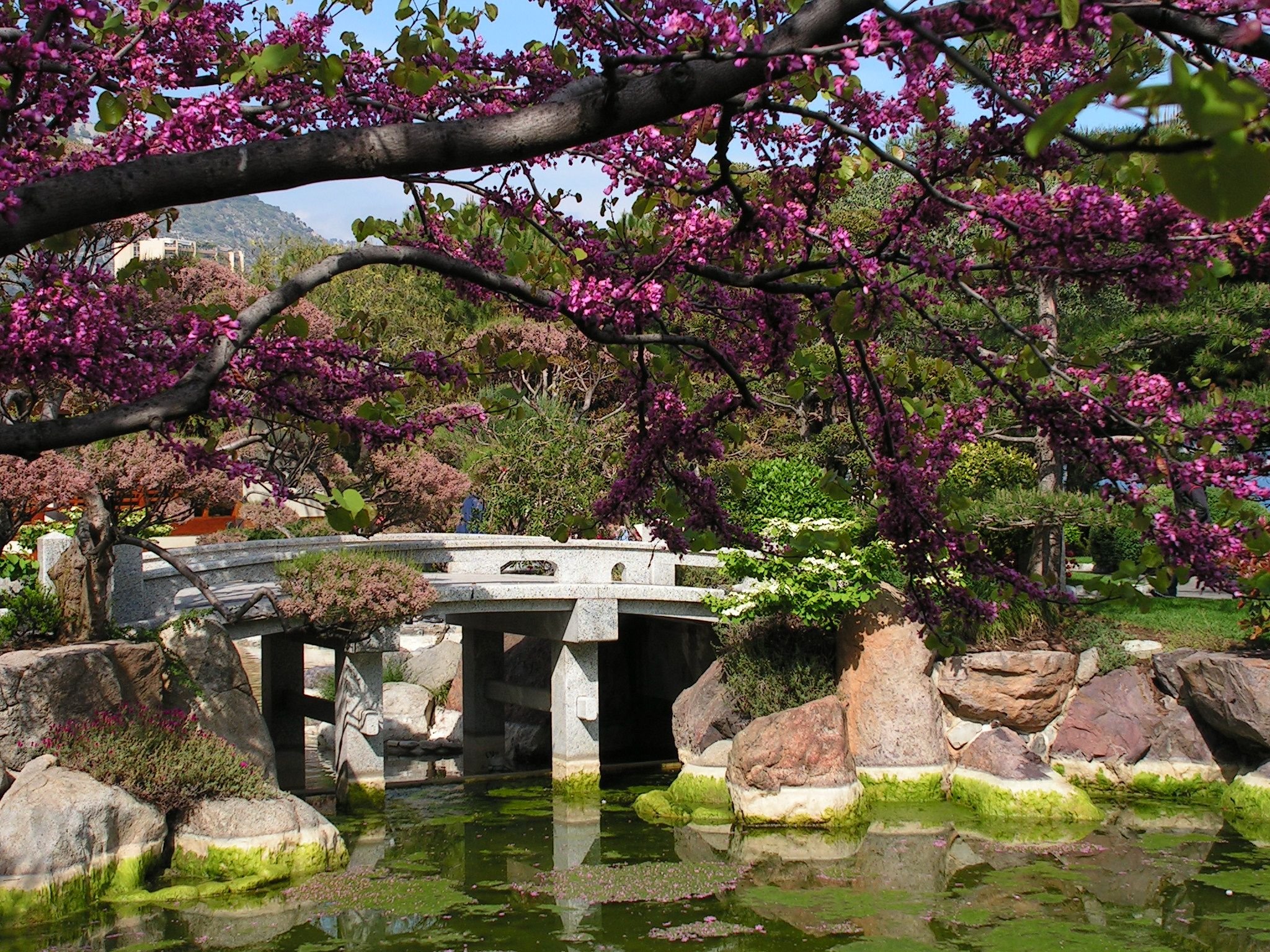 Сады времен значение. Японский сад в Монако. Японский сад Цукияма. Сад Хонбо, Осака, Япония. Рёкан Япония сад.