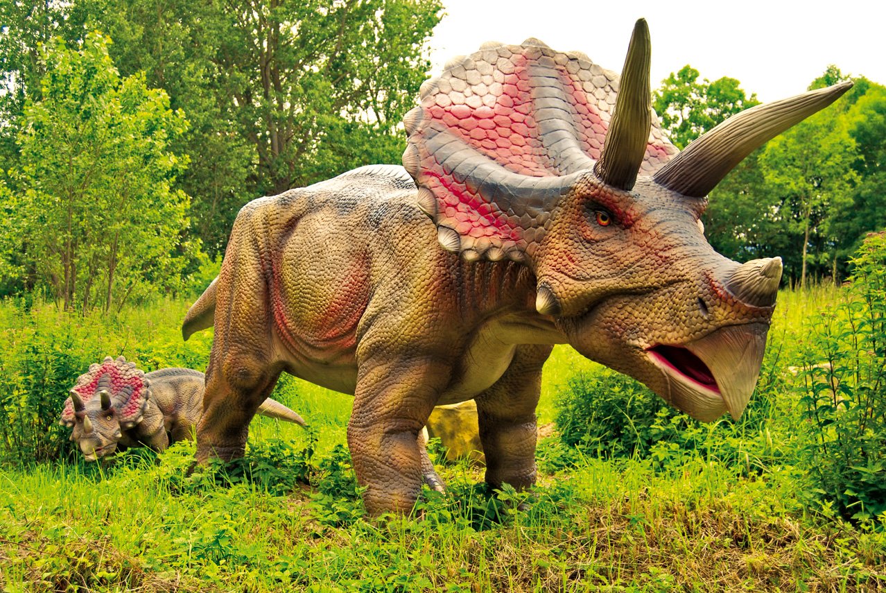 Покажи трицератопса. Динозавр Трицератопс. Динопарк-травоядные-динозавры. Динозавры травоядные цератопсы. Трицератопс настоящий.