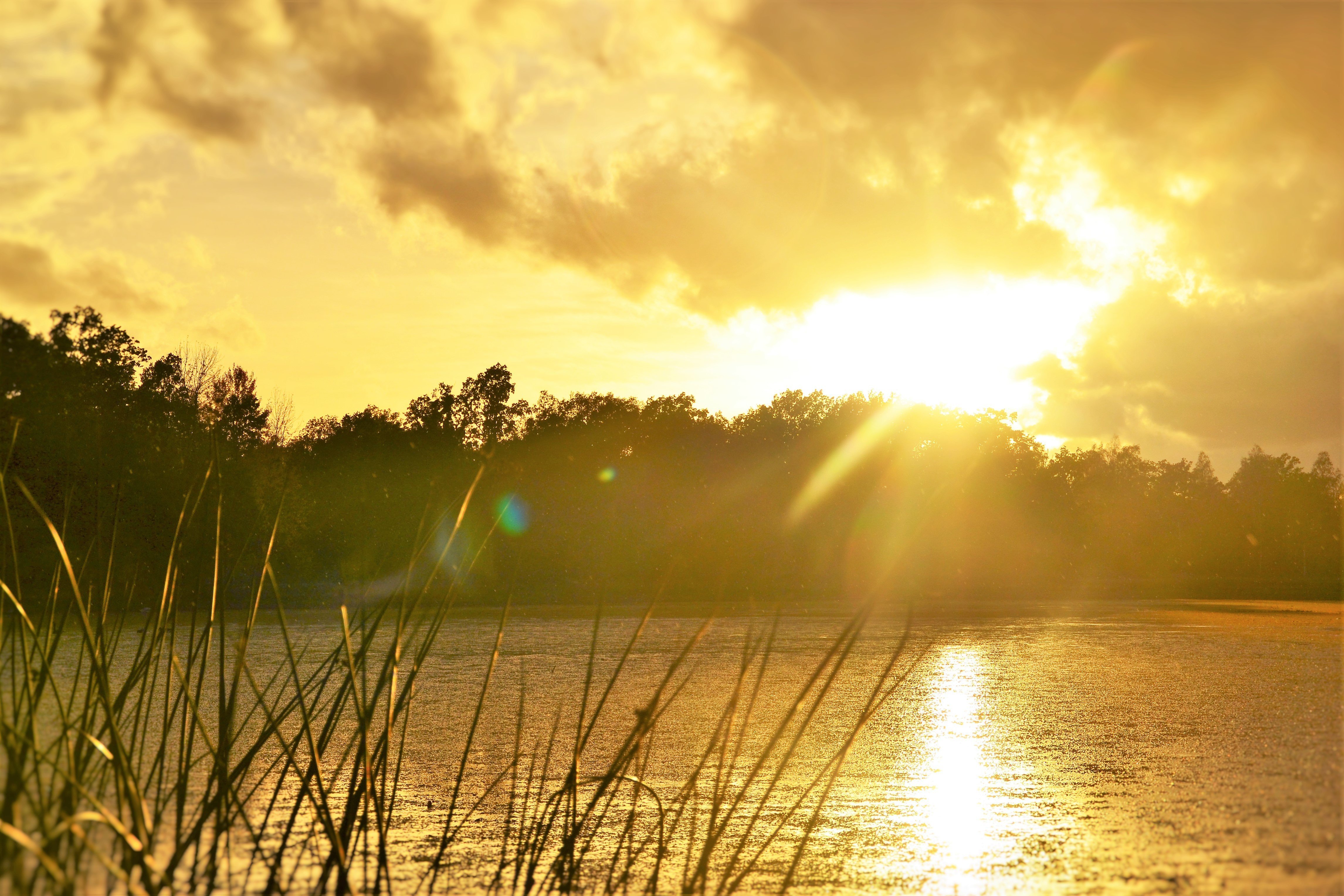 Рассвет. На Восходе солнца. Лучи солнца на озере. Солнце над озером. Природа солнце.