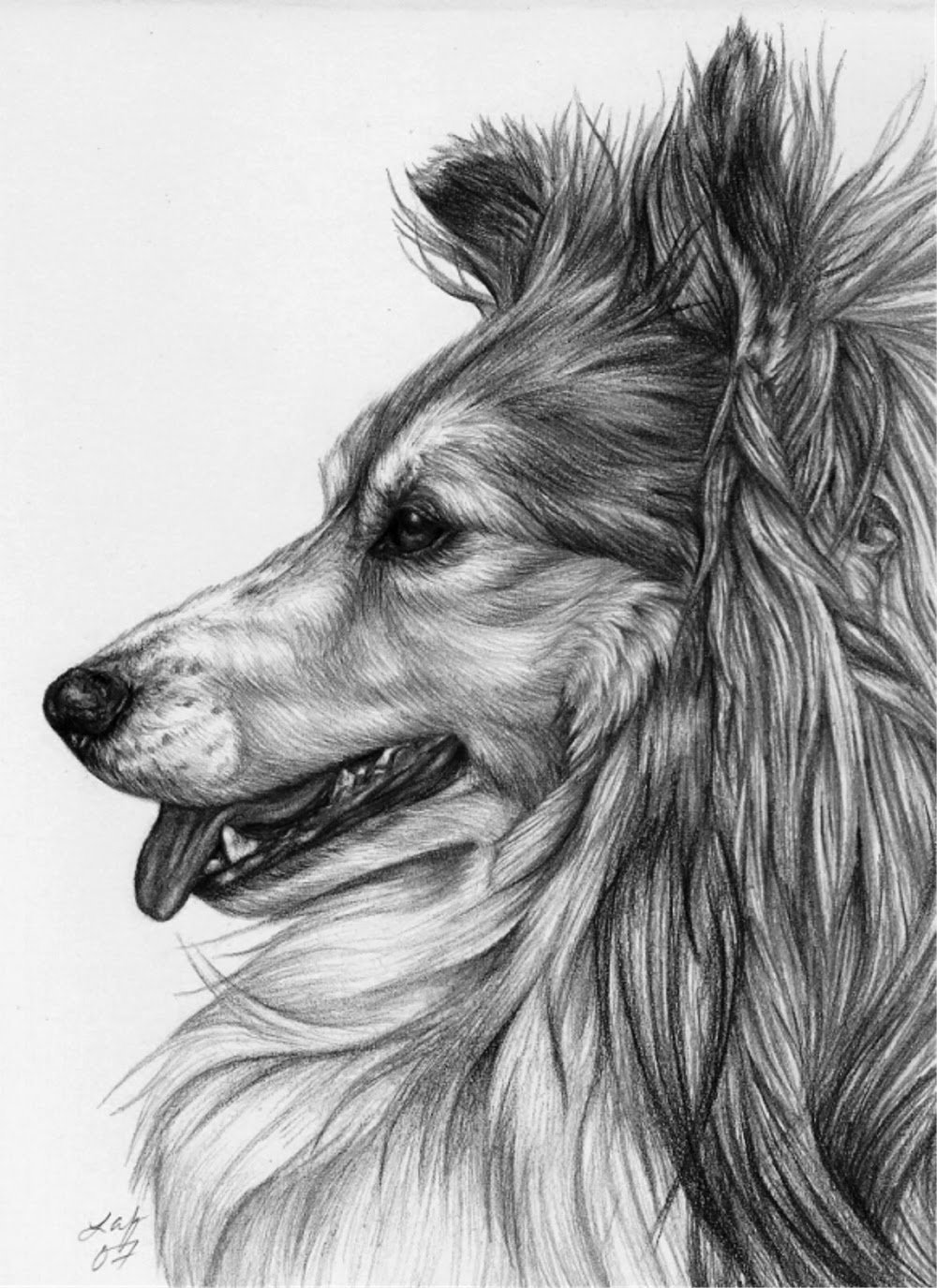 Самые красивые рисунки собак