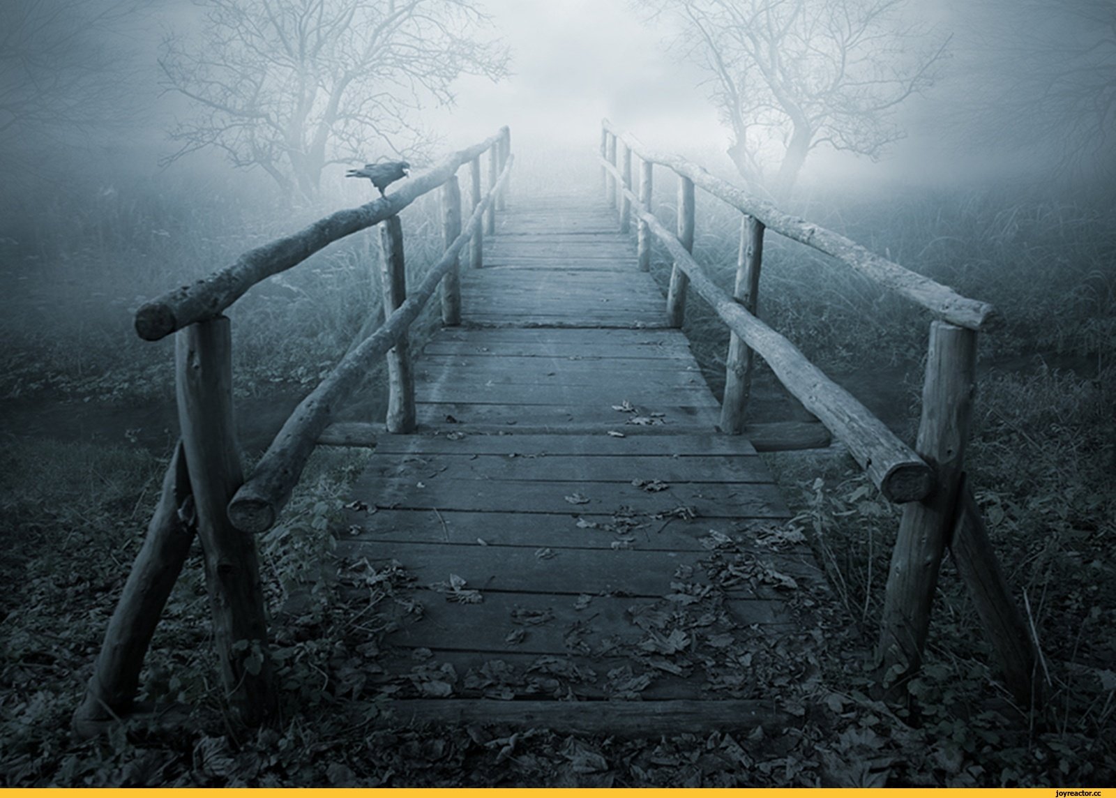 Несколько загадочных. Мрачный пейзаж. Мрак одиночество. Мост в никуда. Лестница в тумане.