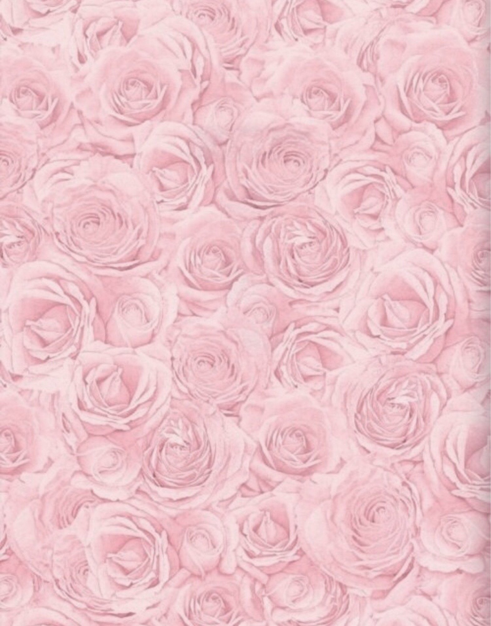 Обои розовые вертикальные. Розы фон. Фон цветочный нежный. Розовый фон. Фон розы нежные.