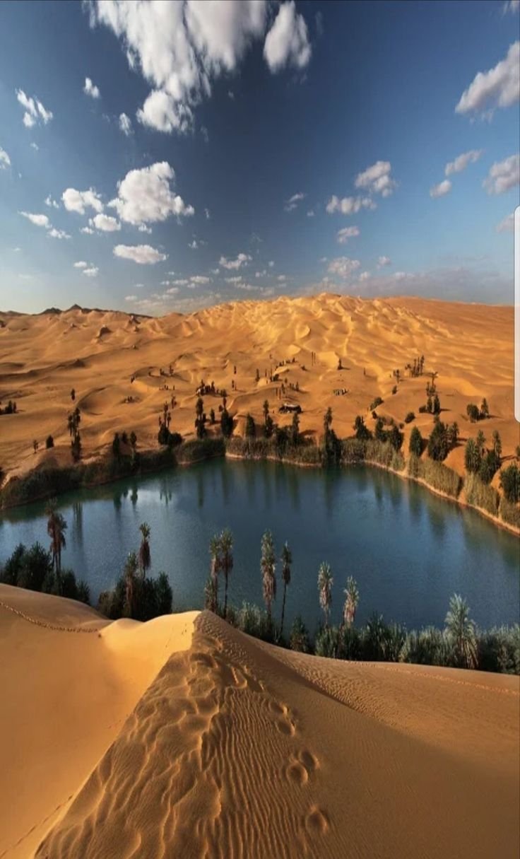 Пустыня сахара Оазис