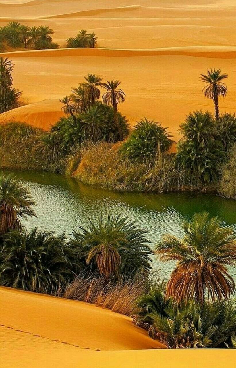 Сахара Марокко Оазис