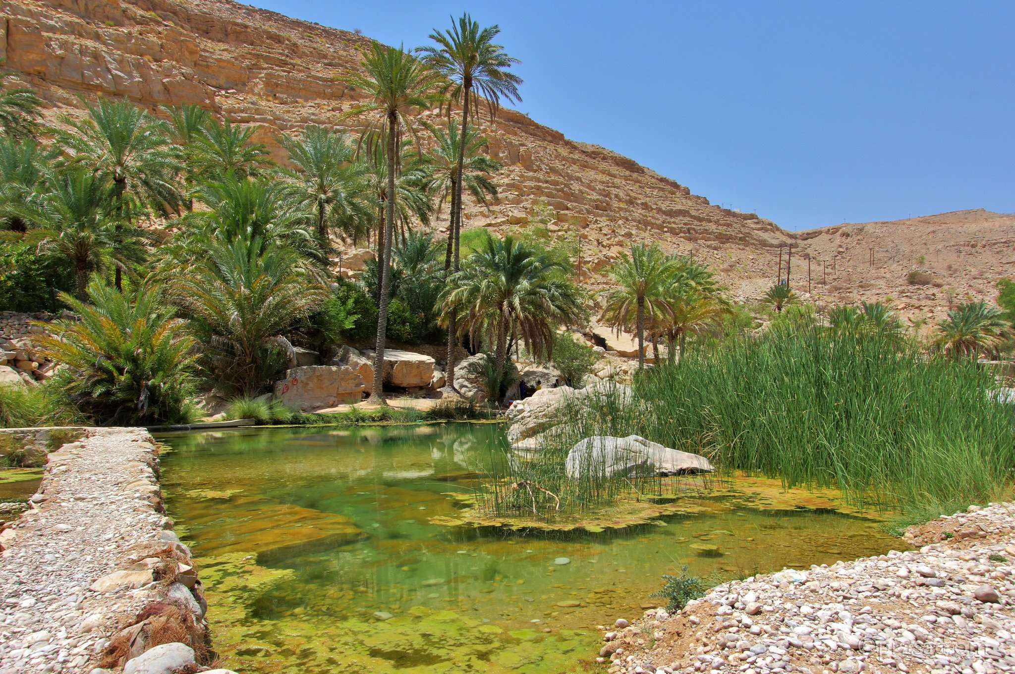 Название оазисов. Вади бани Халид Оман. Оазис Оман. Оазис в пустыне Вади бани Халид. Пустыня Оман Оазис.