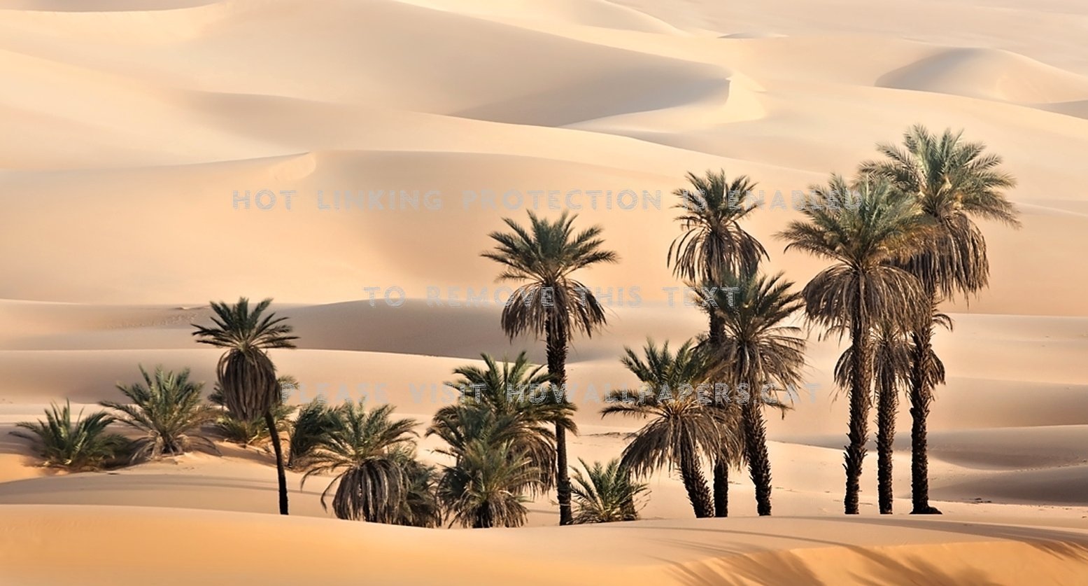 Palm desert steam фото 58