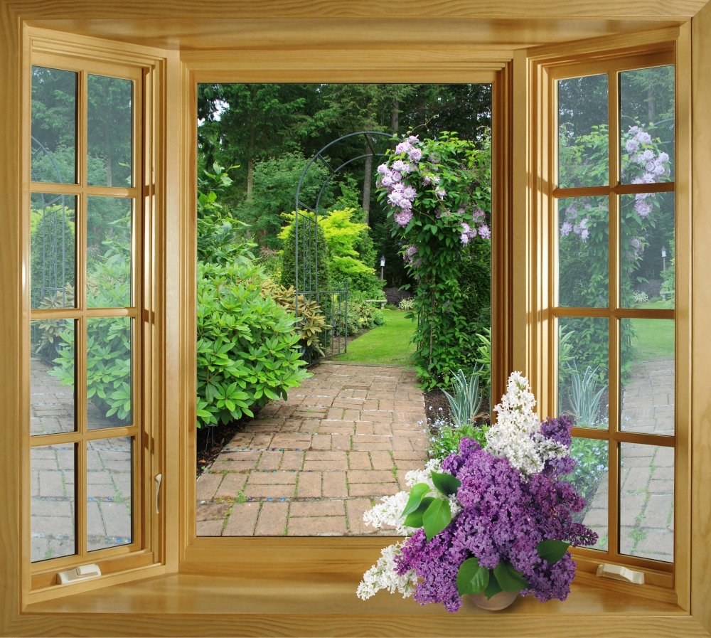 Фотообои окно в сад