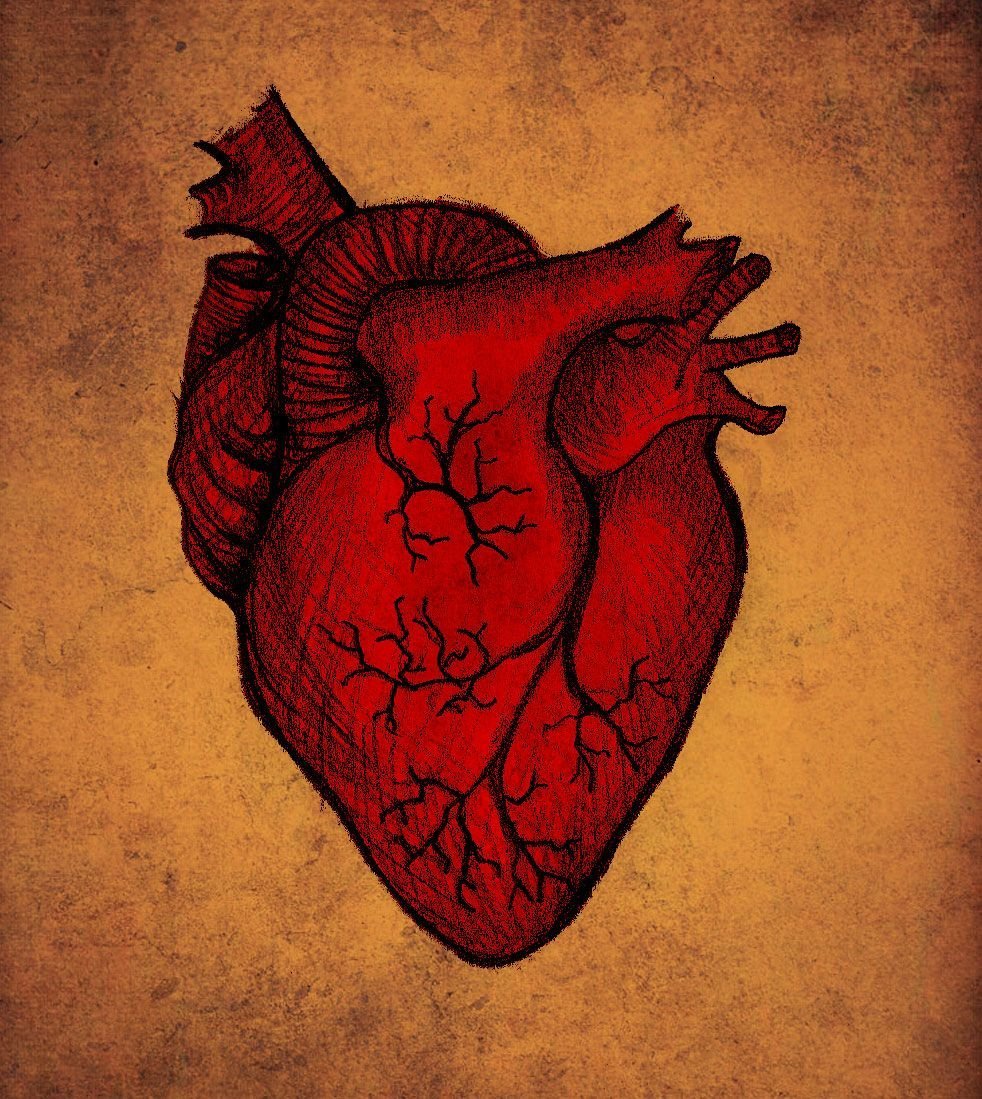 Человеческое сердце арт