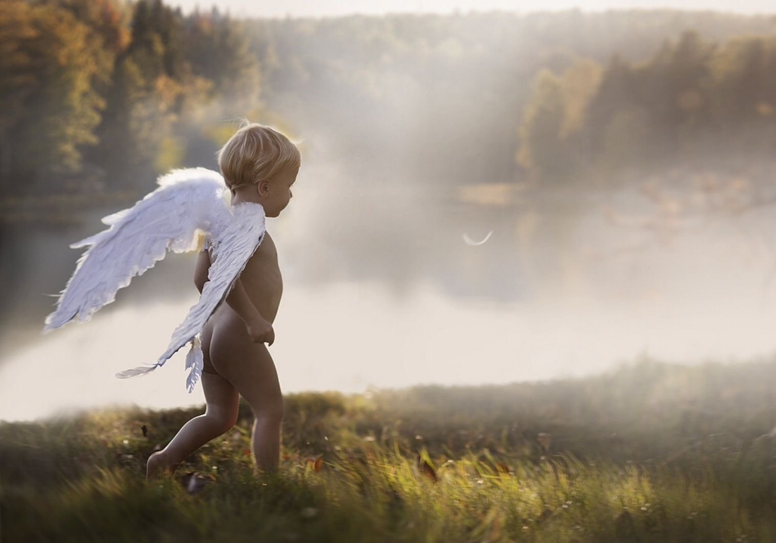 Душой дитя судьбой. Ребенок с крыльями ангела. Маленький ангел. Мальчик с крыльями. Ангел мальчик.