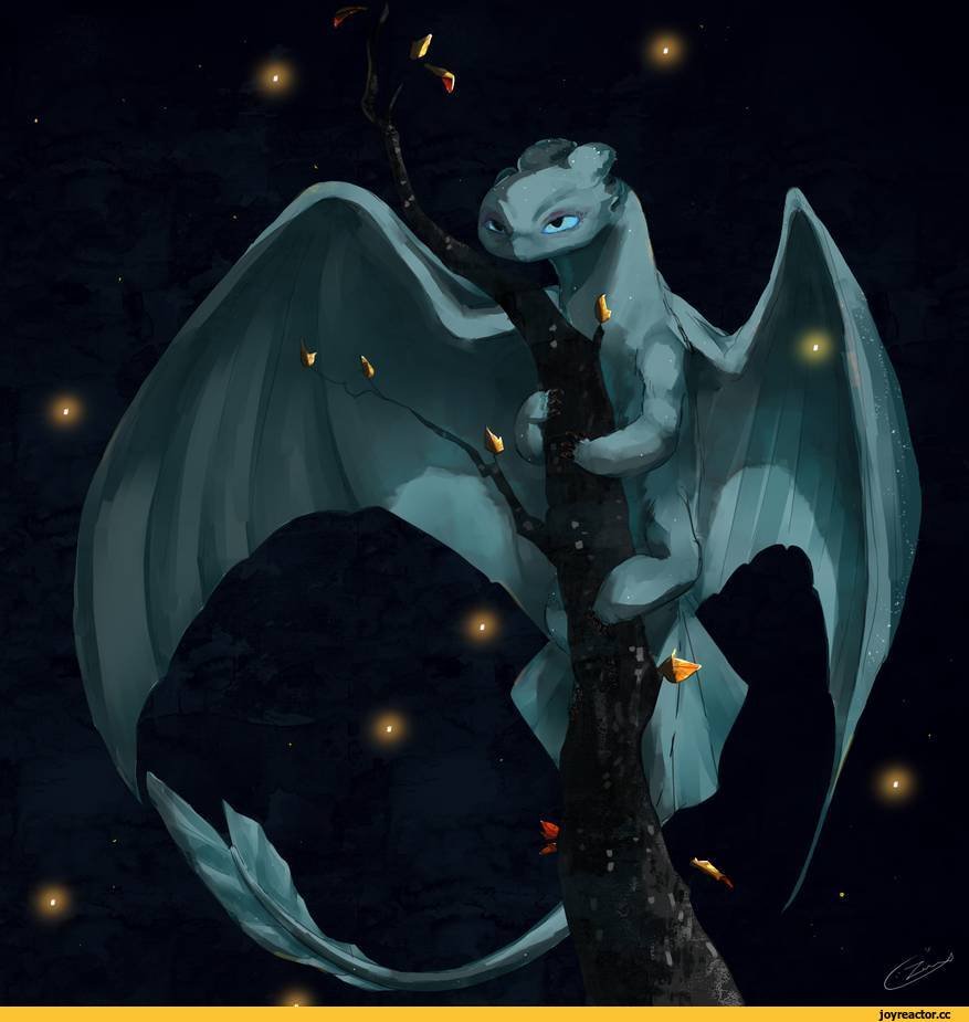 Ночное сияние дракон фурия Стефани