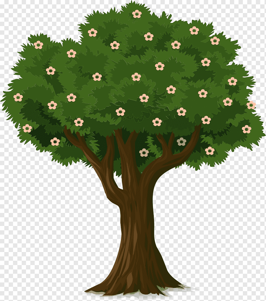 Мелорн дерево