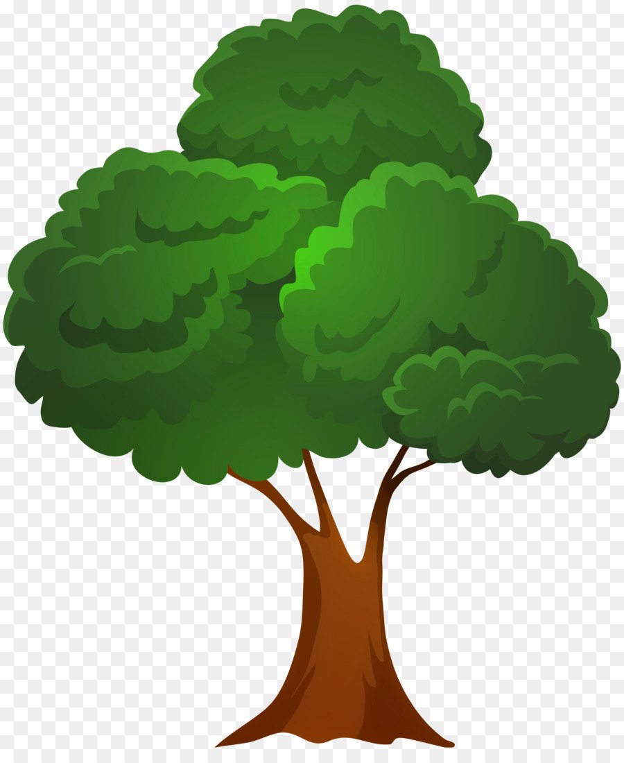 Изображение дерева