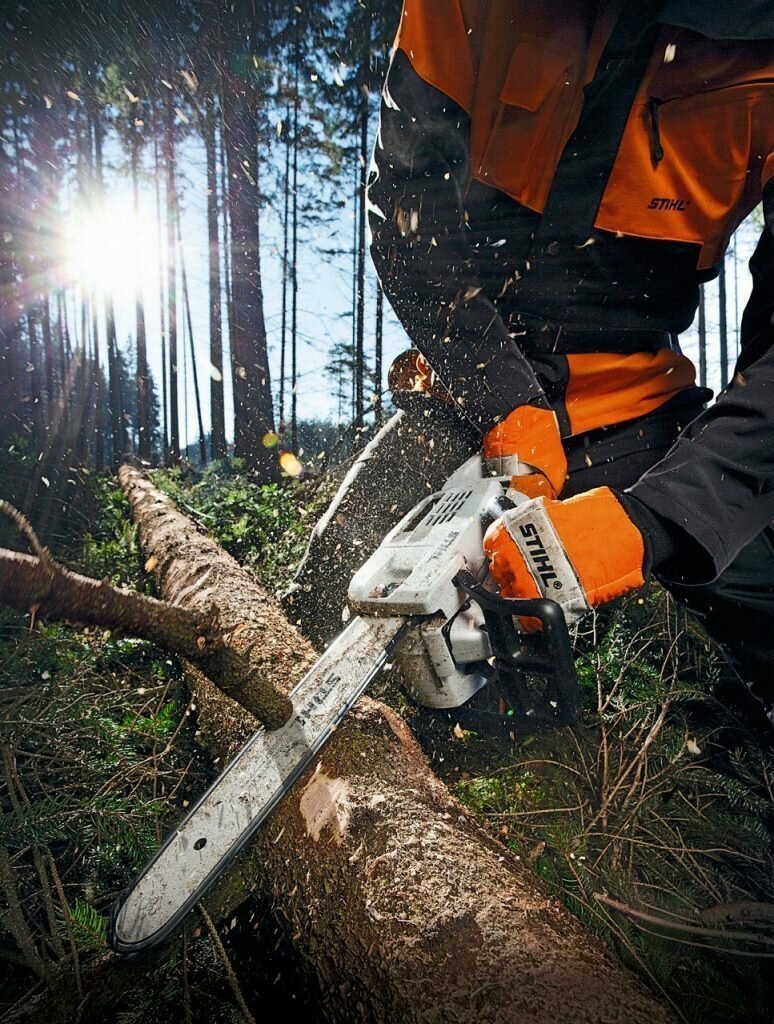 Спил деревьев в 2022 в Чернышевске