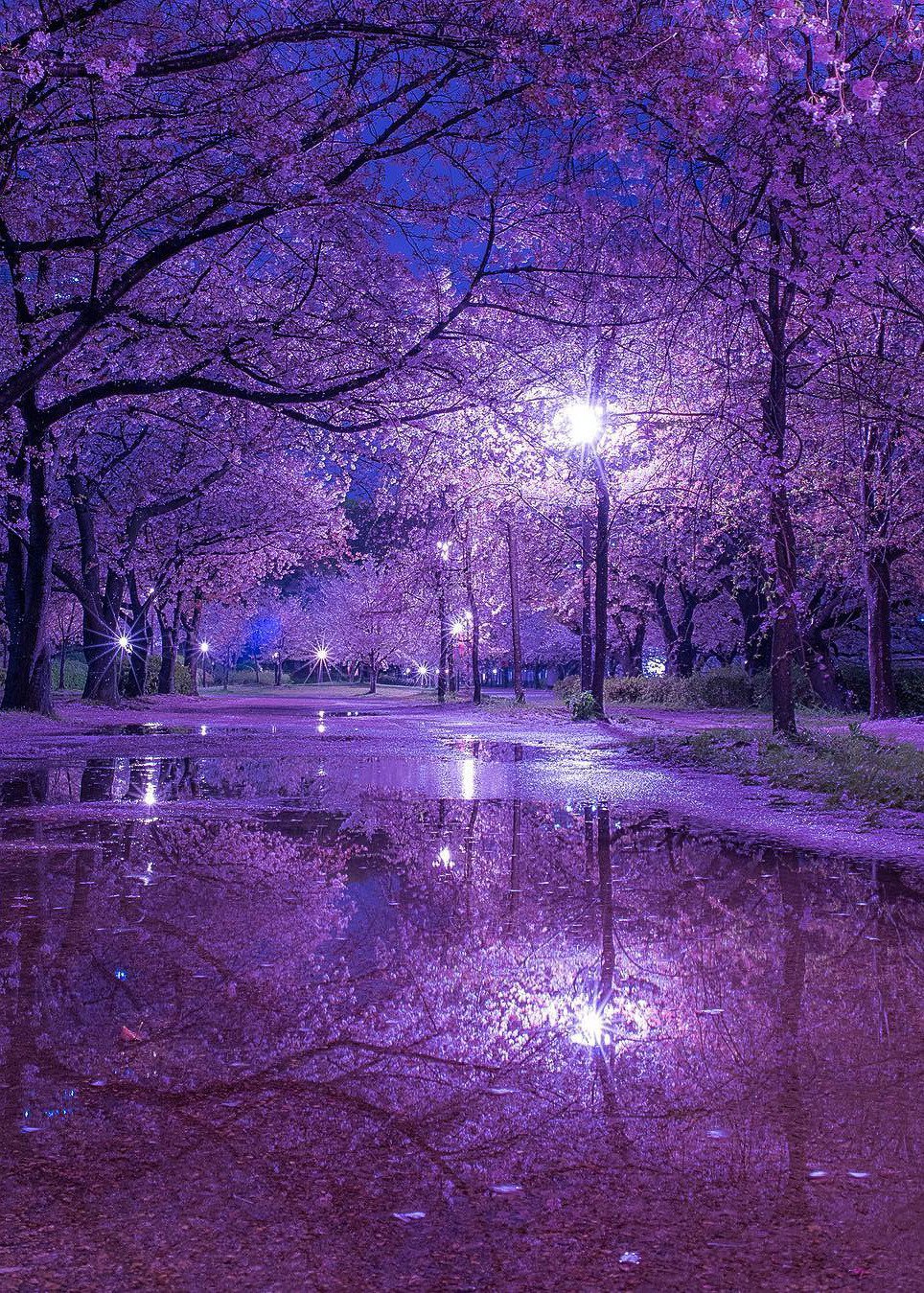 Пейзаж в фиолетовых тонах