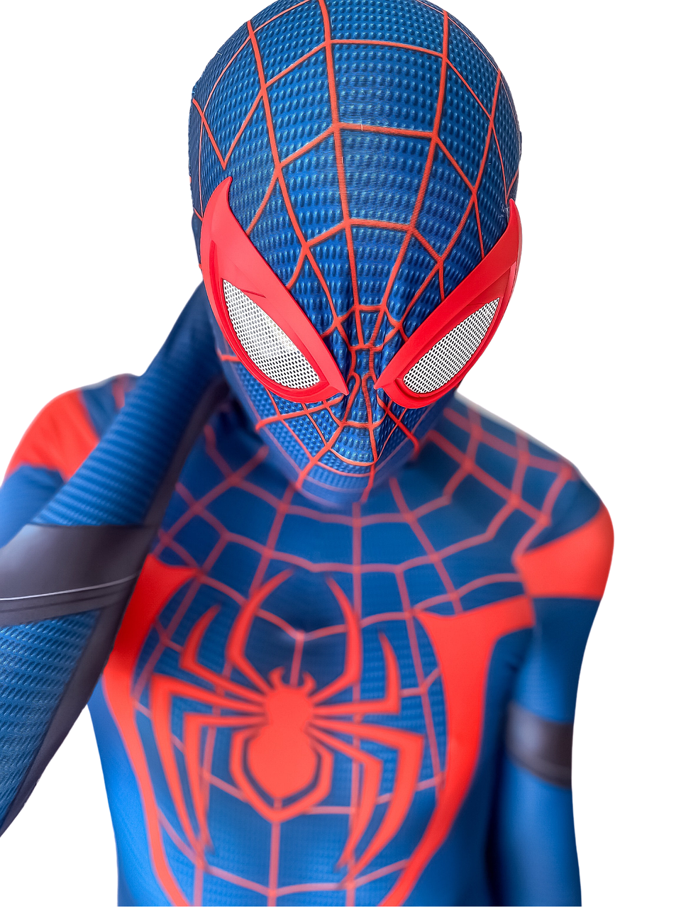 Паук на костюме человека паука