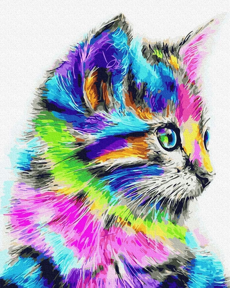 Алмазная вышивка «разноцветная кошка», lg009