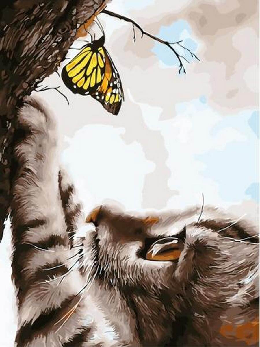 Котик с бабочкой на носу