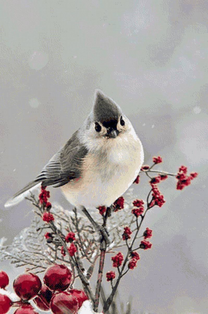 Маленькая зимняя птичка