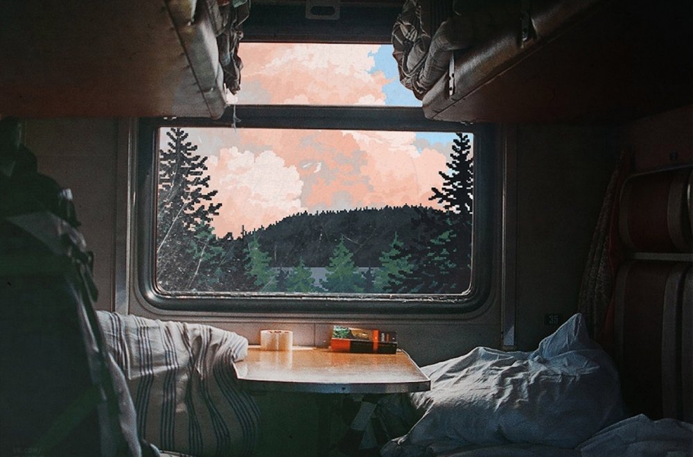 Вид из окна вагона