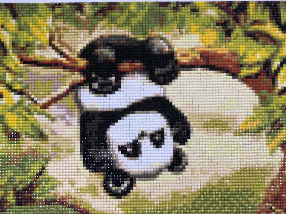 Алмазная мозаика игривая Панда