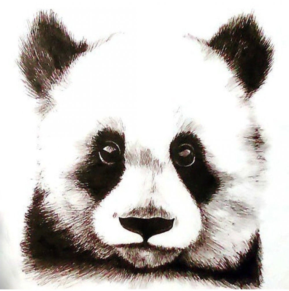 Идеи для рисунков Панда