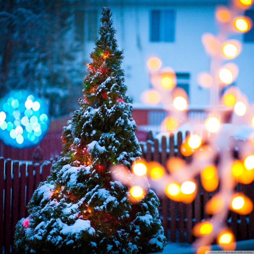 Рождественские огоньки на улице