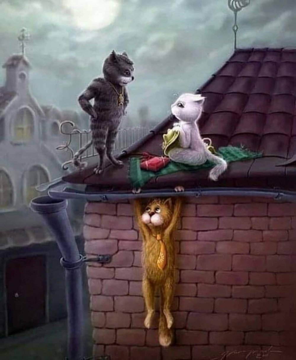 Мартовские коты на крыше