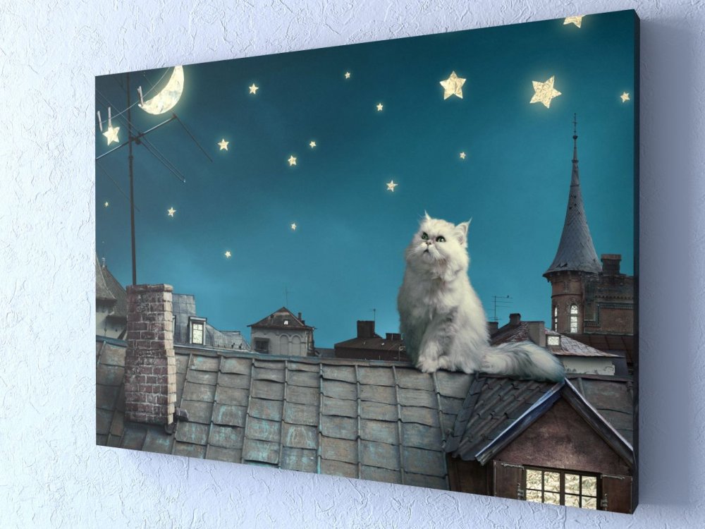 Картина кот на крыше